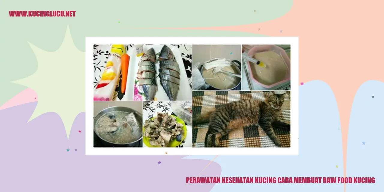 Perawatan Kesehatan Kucing cara membuat raw food kucing