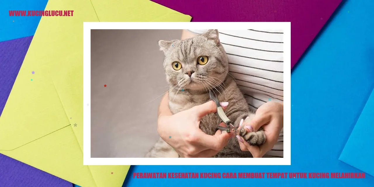 Kucing melahirkan