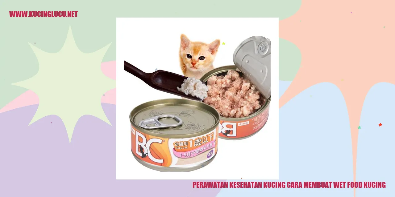 Gambar kucing sehat