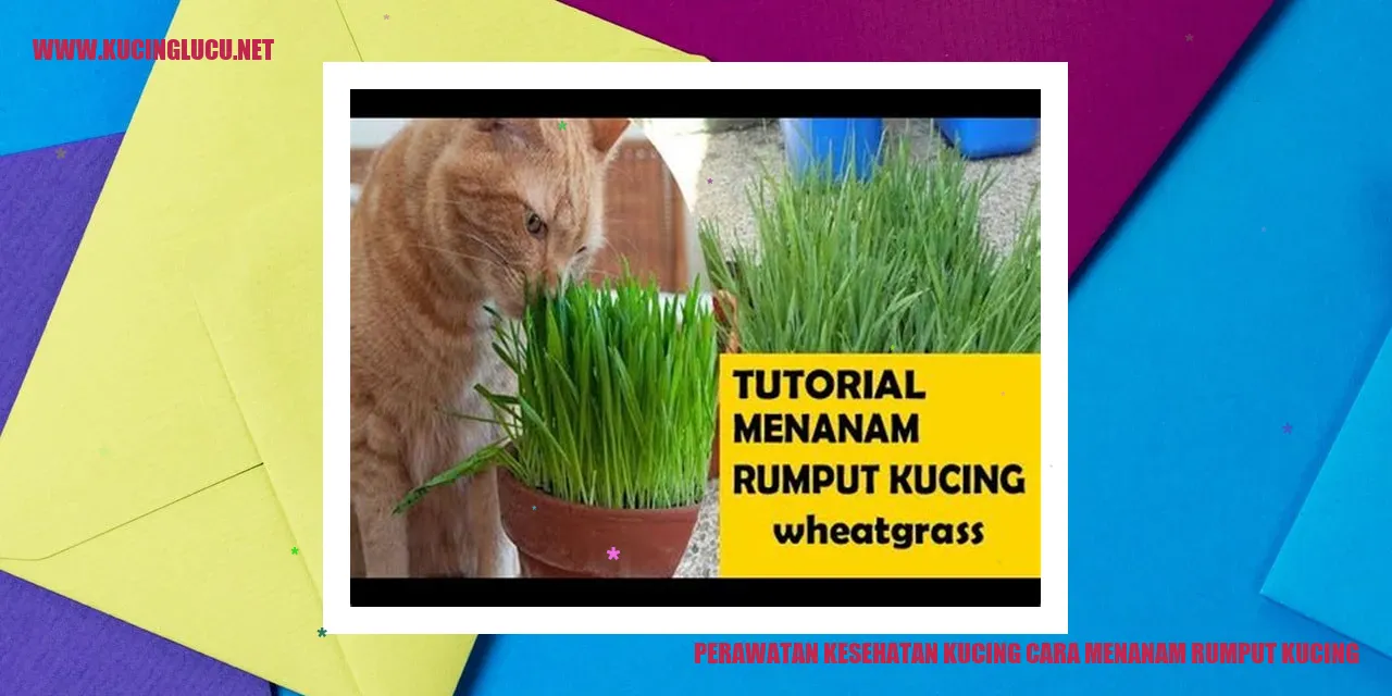 Rumput Kucing