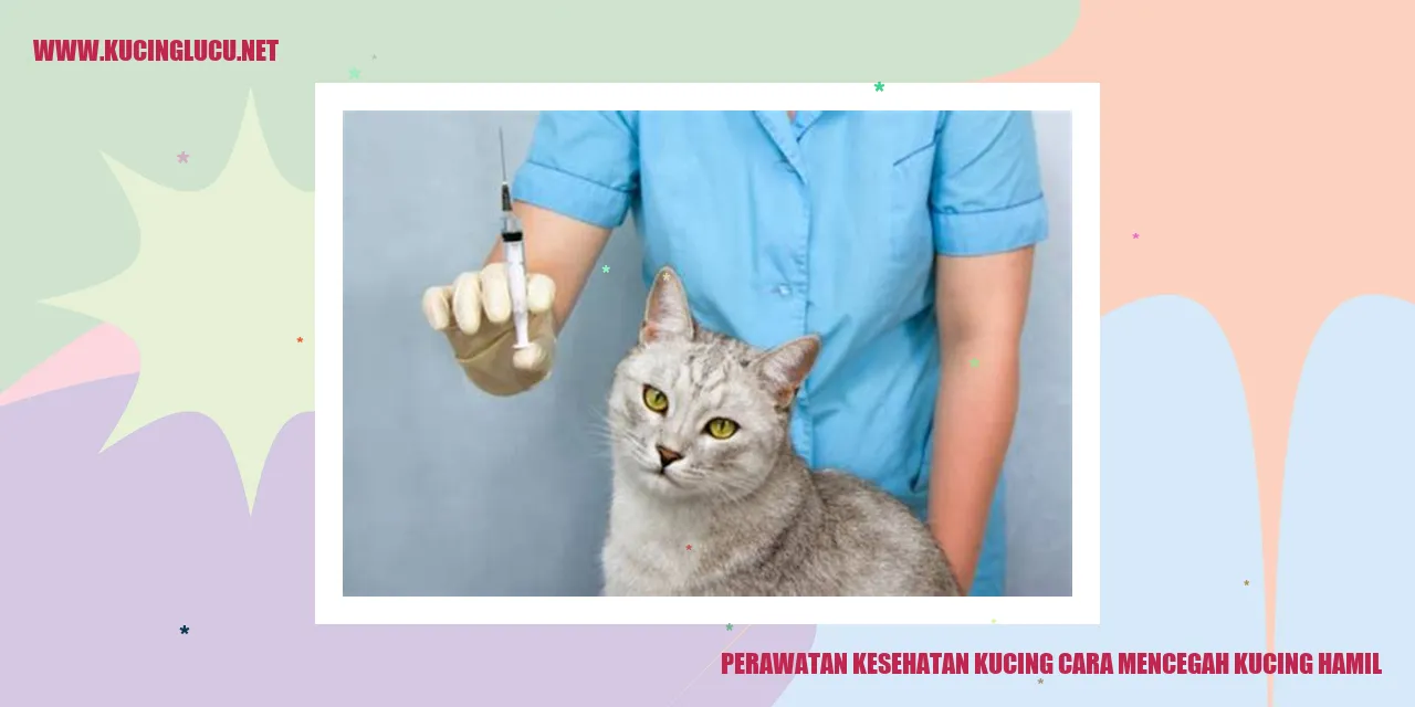 Kucing sehat