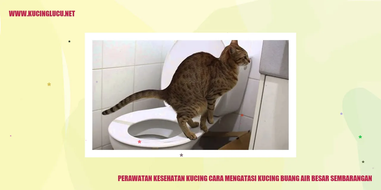 Perawatan Kesehatan Kucing