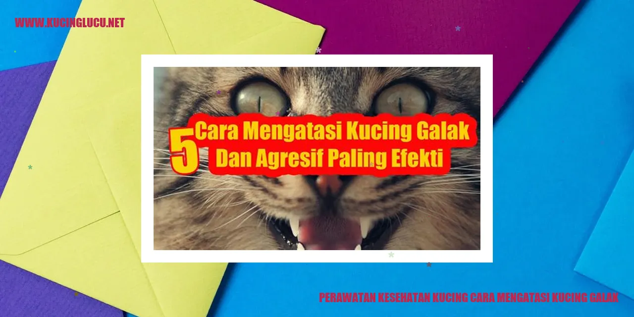 Gambar Kucing Galak
