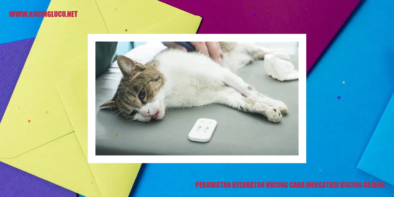Gambar Kucing dengan Kejang