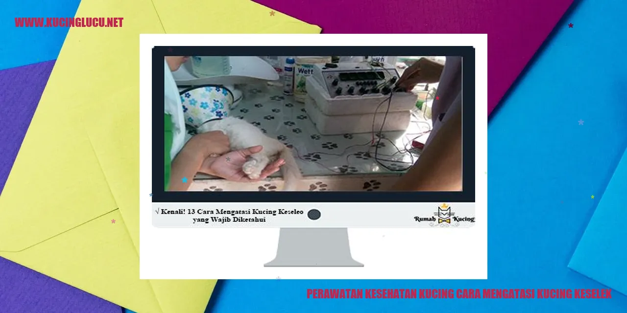 Perawatan Kesehatan Kucing cara mengatasi kucing keselek