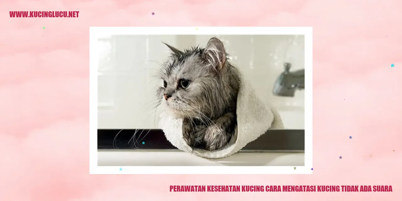 Perawatan Kesehatan Kucing