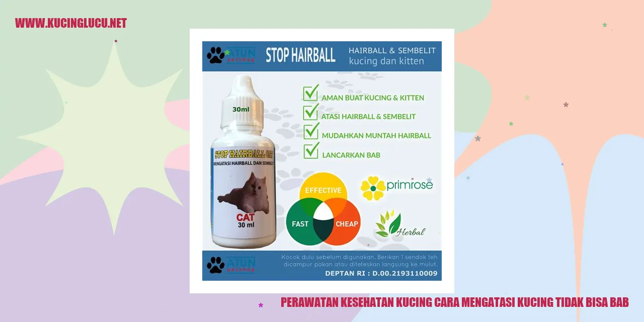 Perawatan kesehatan kucing