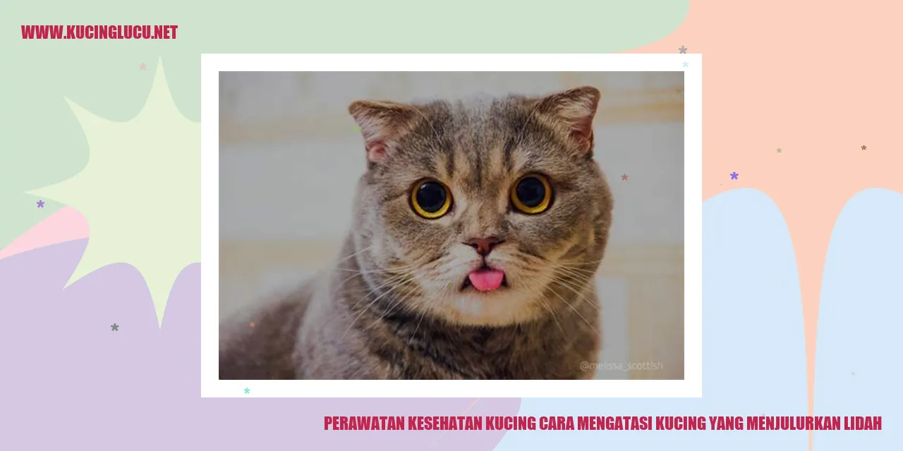 Perawatan Kesehatan Kucing