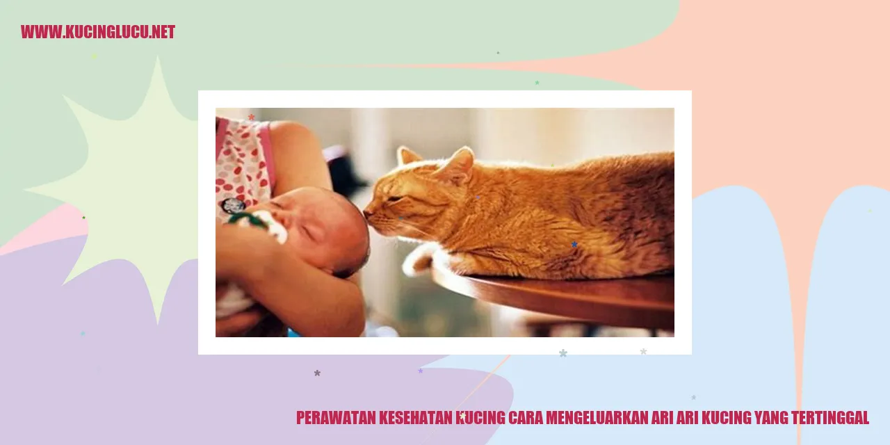 Perawatan Kesehatan Kucing