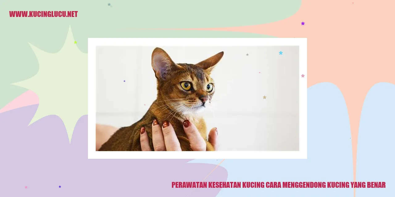 Gambar kucing yang sedang digendong