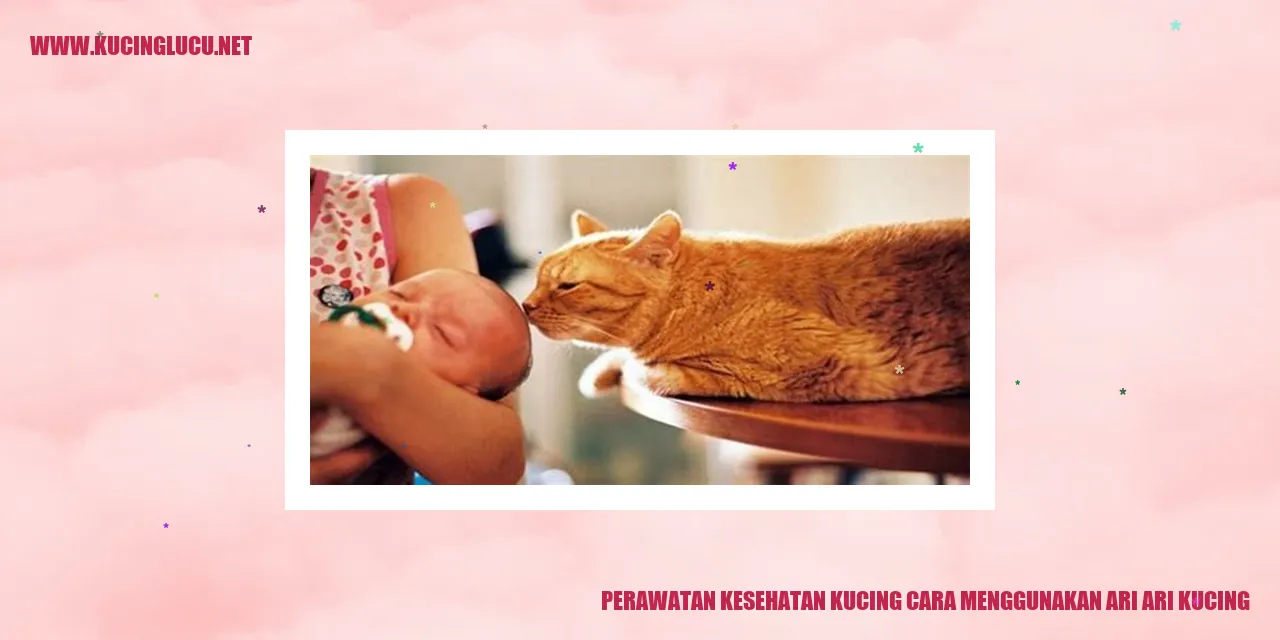 Perawatan Kesehatan Kucing dengan Menggunakan Sisir Kucing