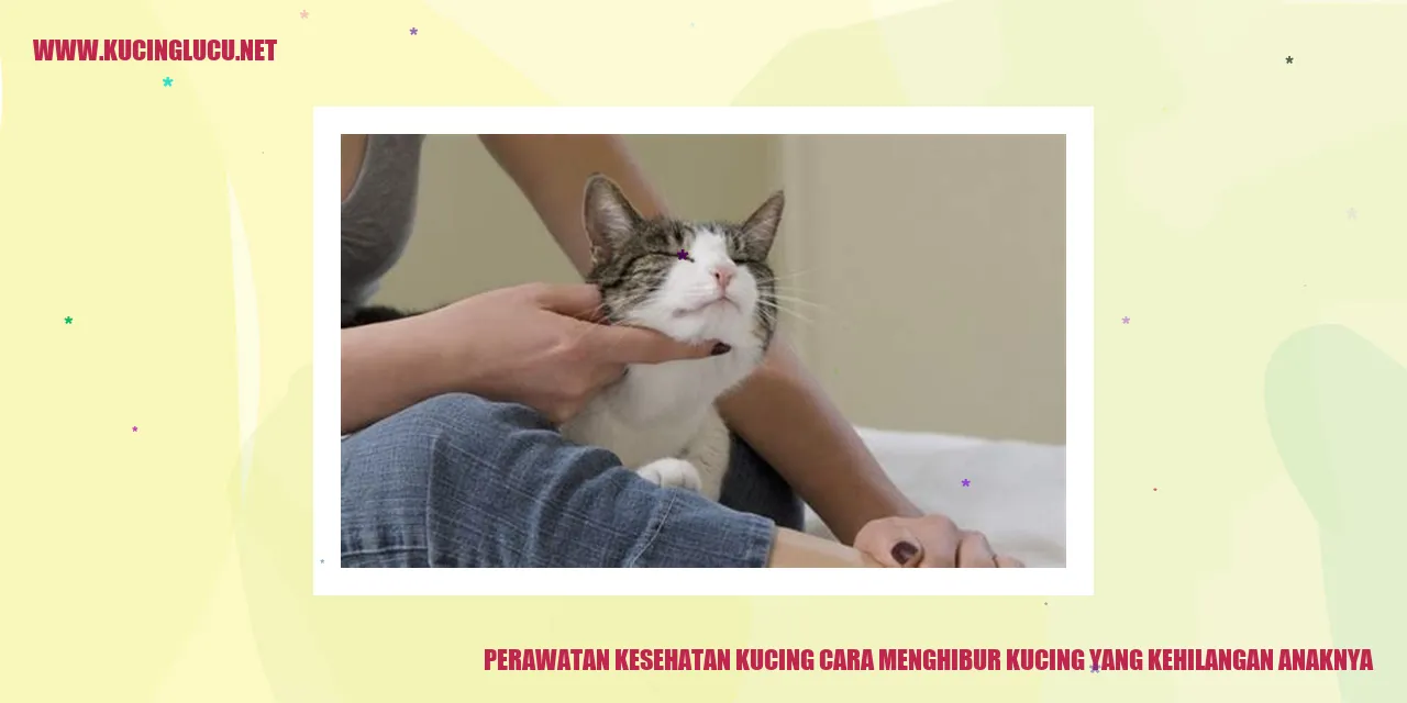 Gambar Kucing yang Kehilangan Anaknya