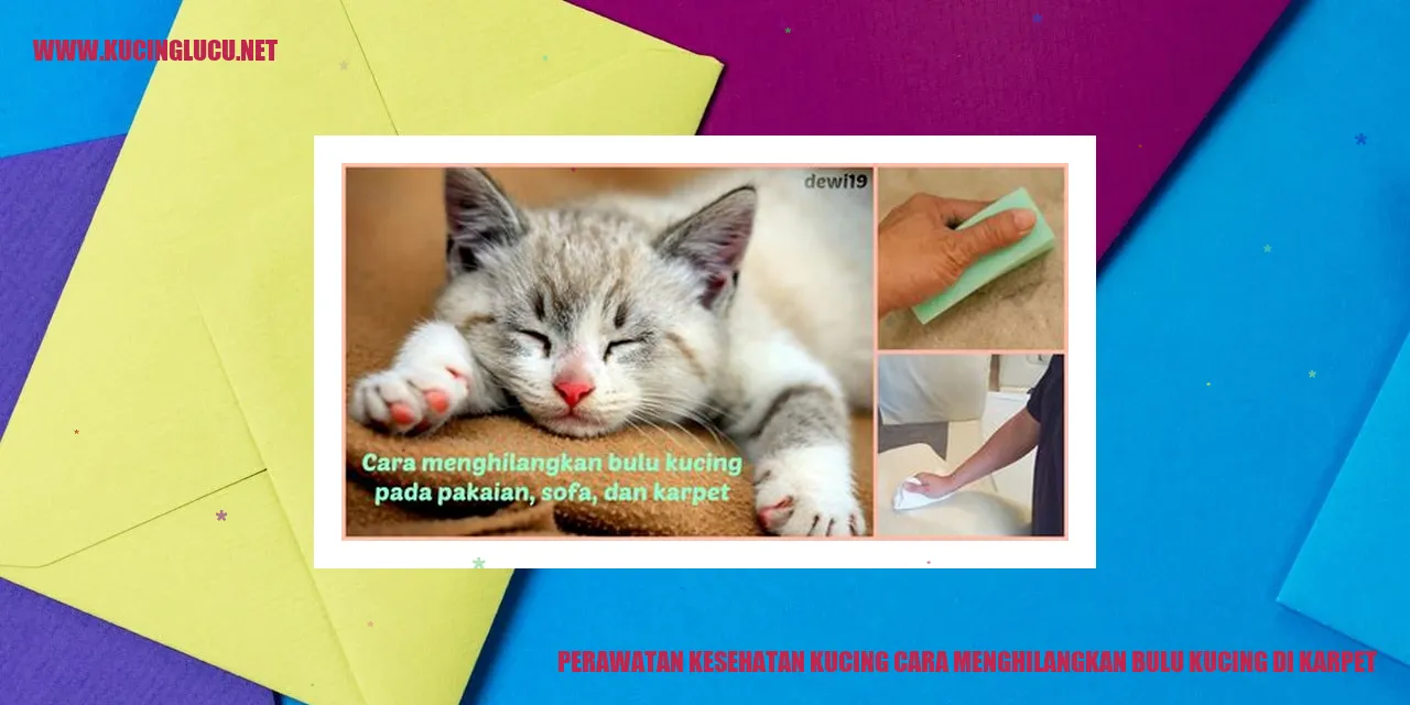 Gambar Kucing di Karpet