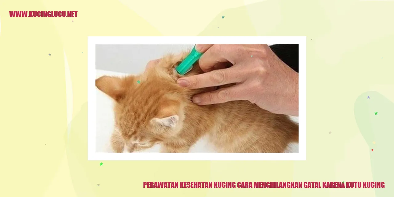Perawatan Kesehatan Kucing