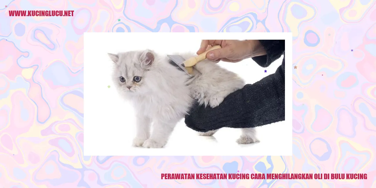 Perawatan Kesehatan Kucing