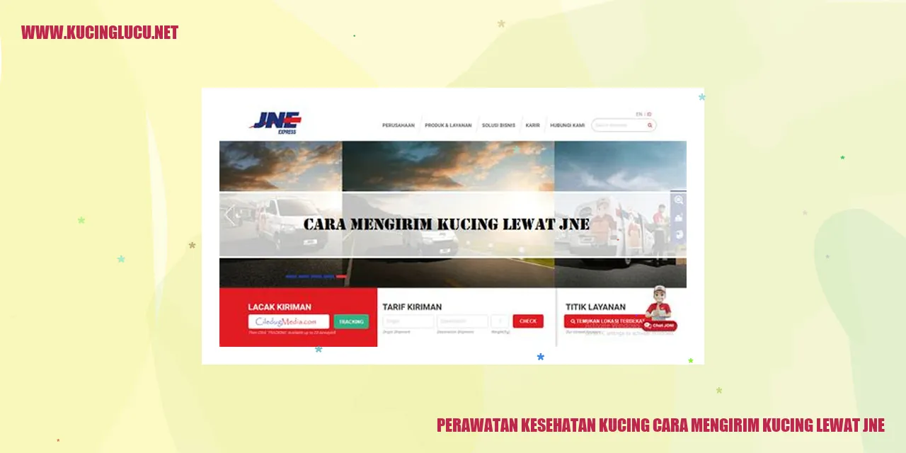 Perawatan Kesehatan Kucing