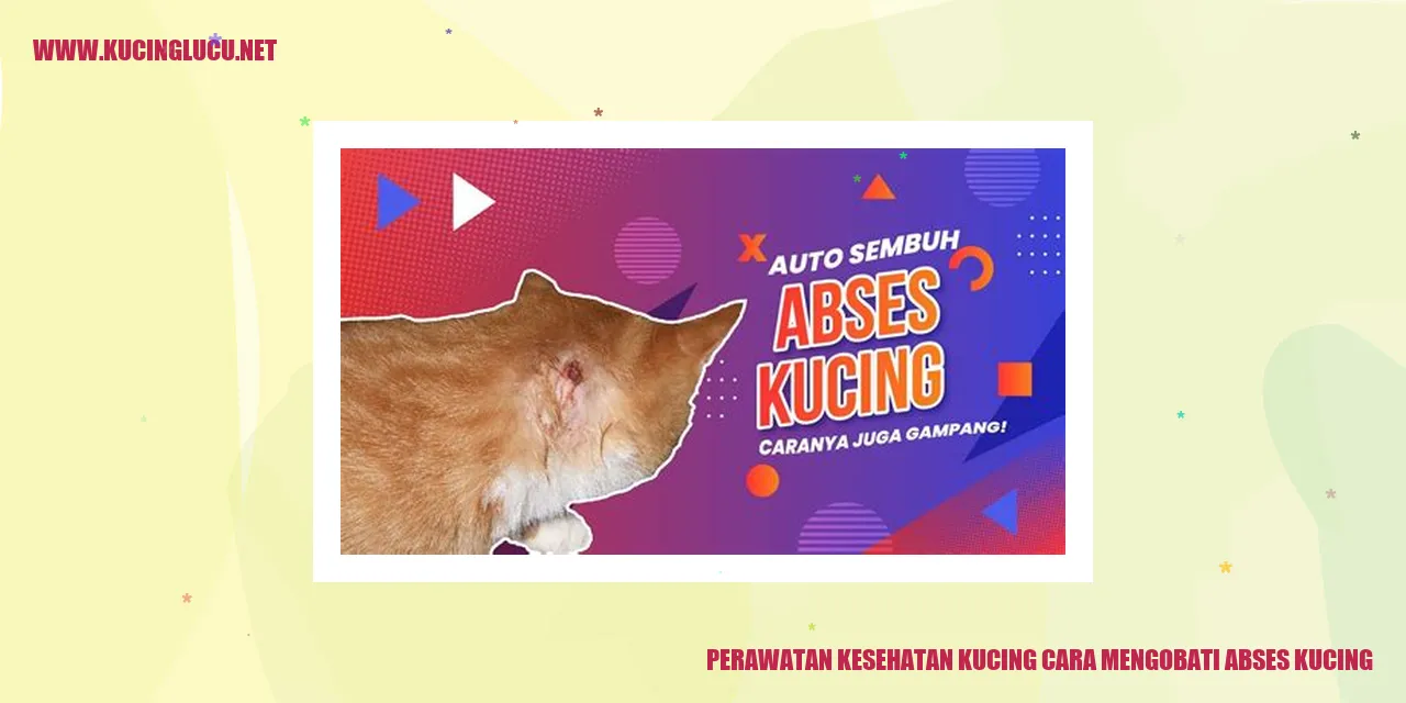 Perawatan Kesehatan Kucing: Mengobati Luka Bernanah pada Kucing