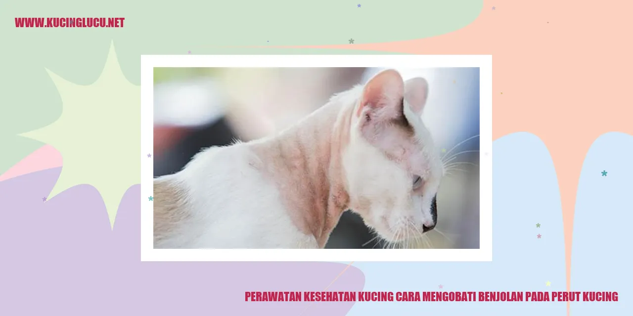 Kucing dengan benjolan pada perut