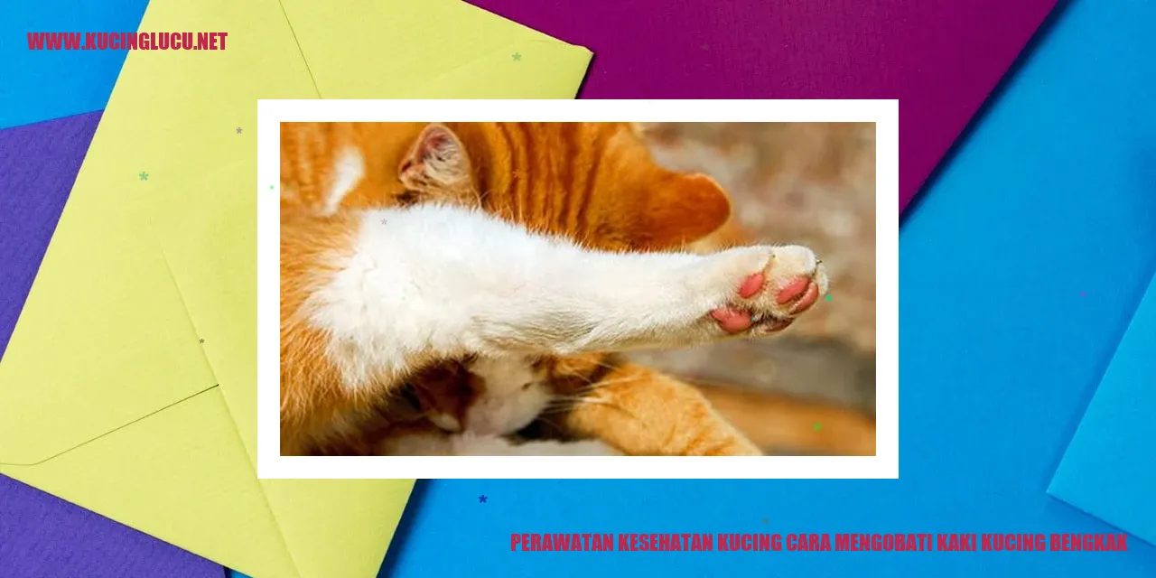 Kucing dengan kaki bengkak