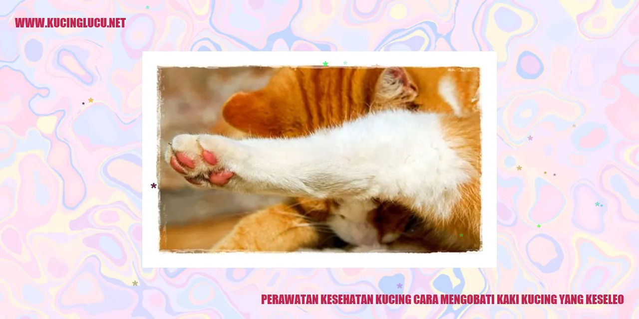 Kaki Kucing yang Keseleo