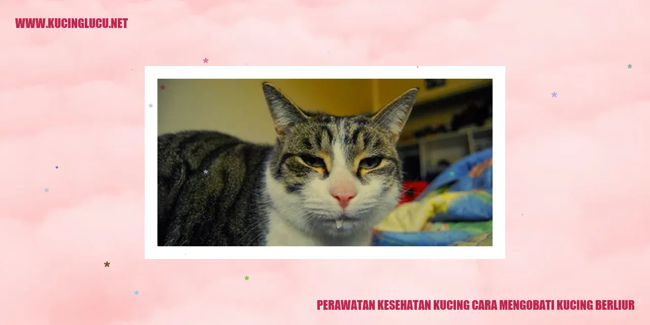 Perawatan Kesehatan Kucing