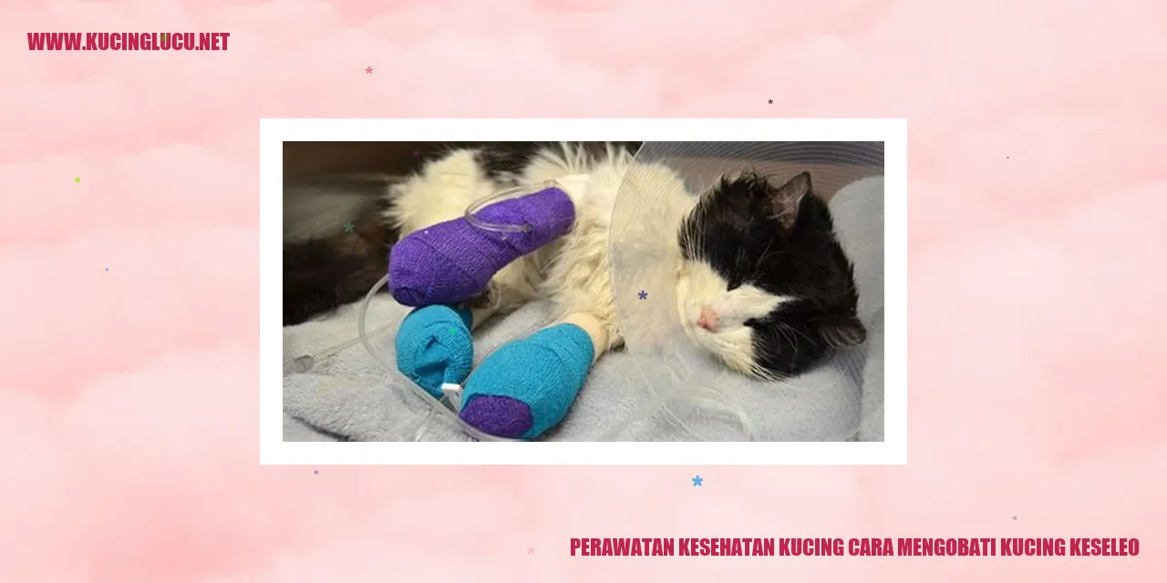 Gambar Kucing Keseleo