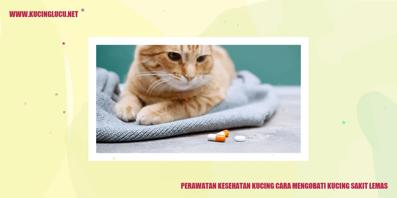 Perawatan Kesehatan Kucing
