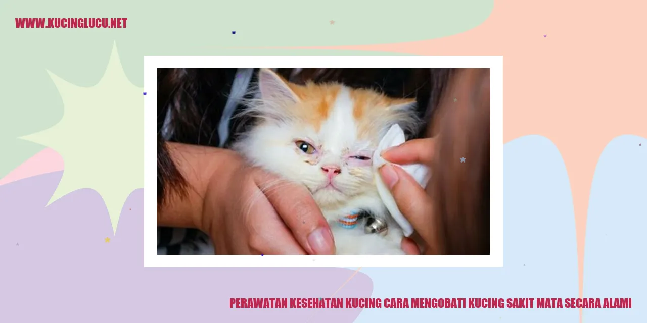 Perawatan Kesehatan Kucing