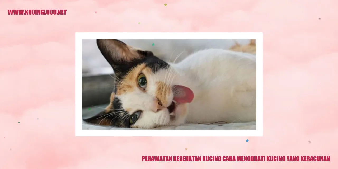 Perawatan Kucing yang Terkena Keracunan