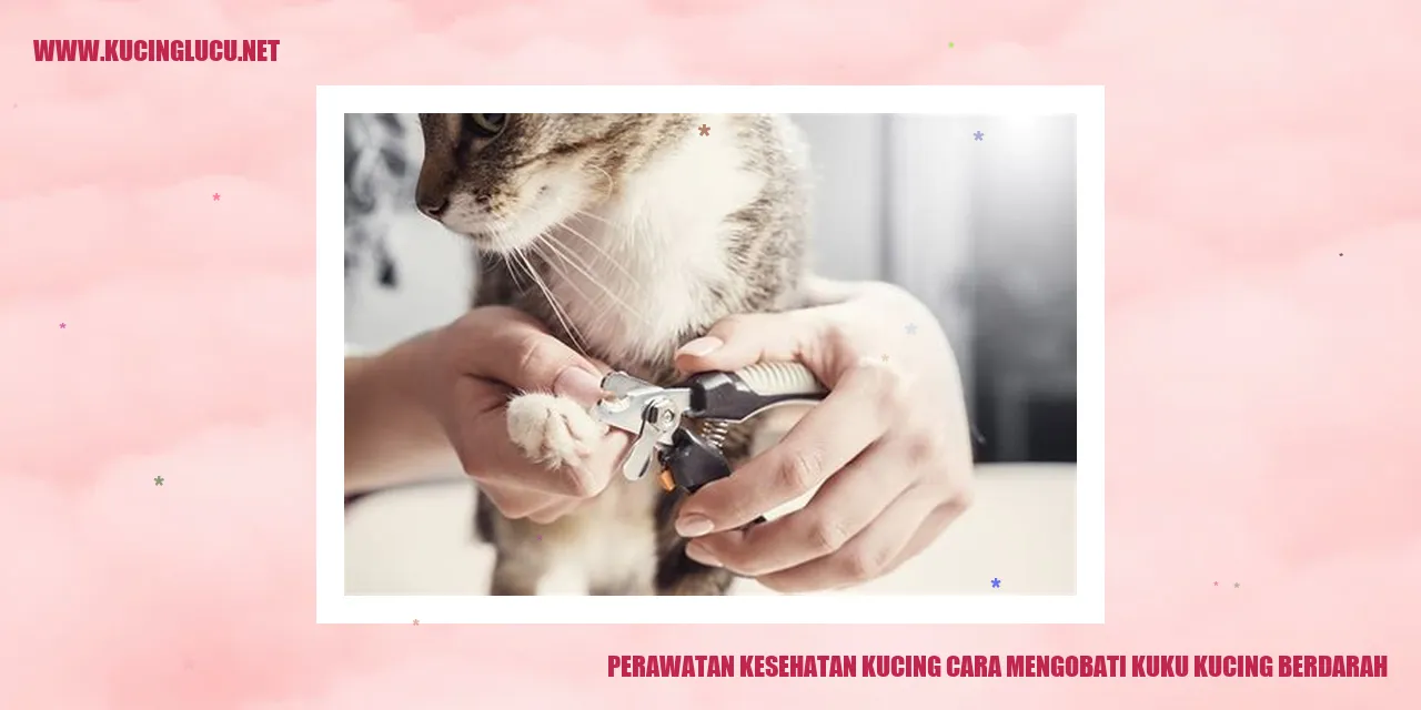 Perawatan Kesehatan Kucing cara mengobati kuku kucing berdarah