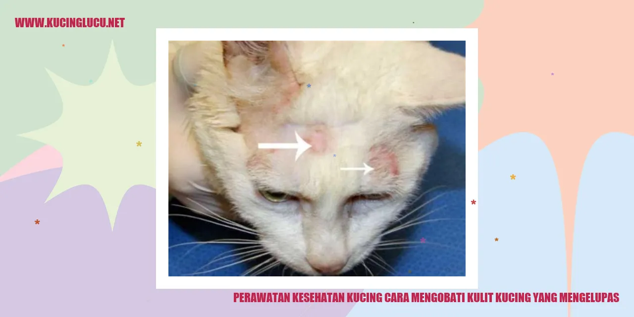 Gambar kucing dengan kulit yang mengelupas