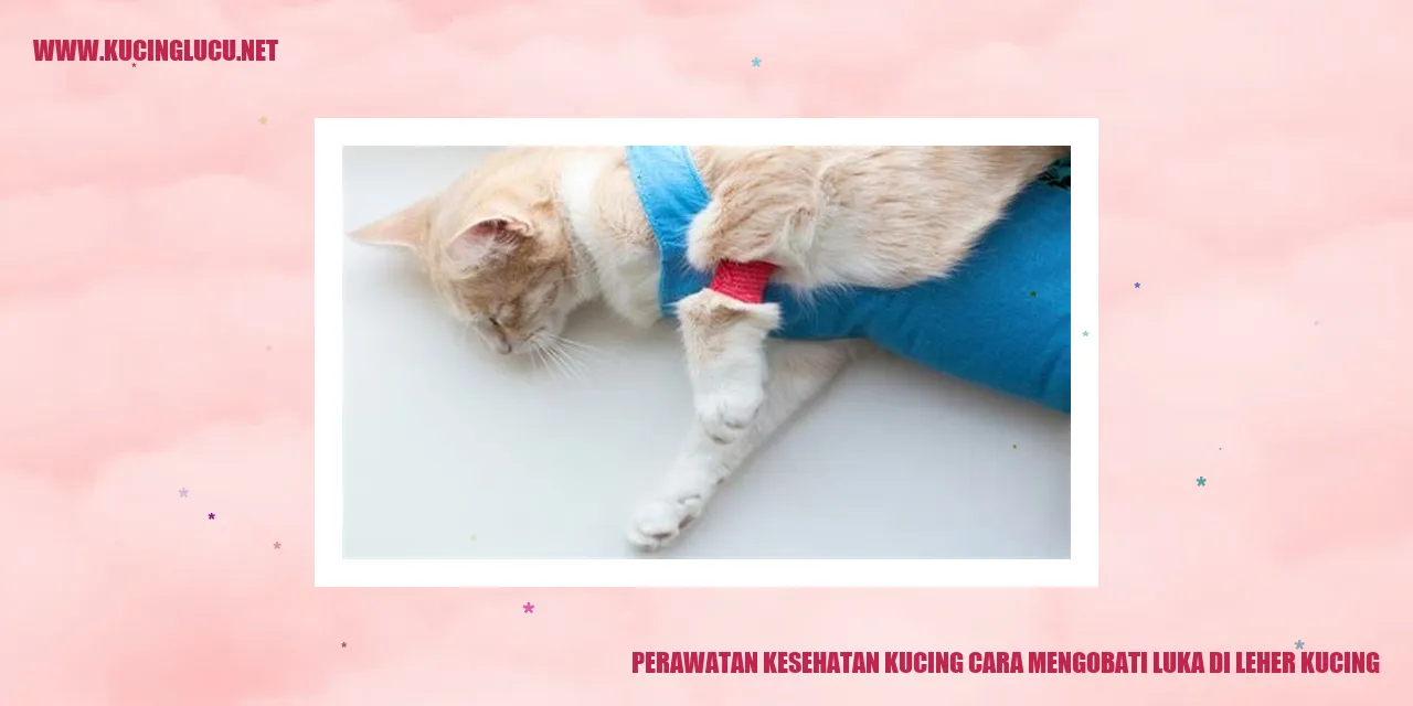 Perawatan kesehatan kucing