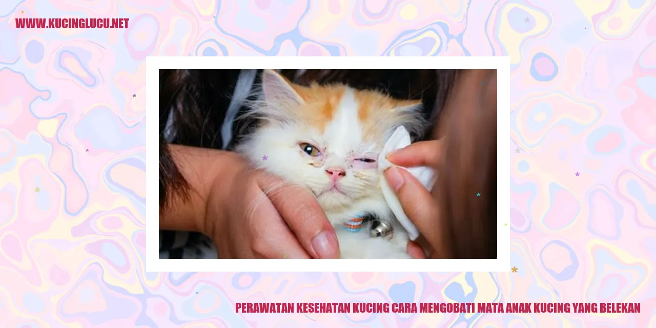 Ilustrasi Mata Belo Pada Anak Kucing