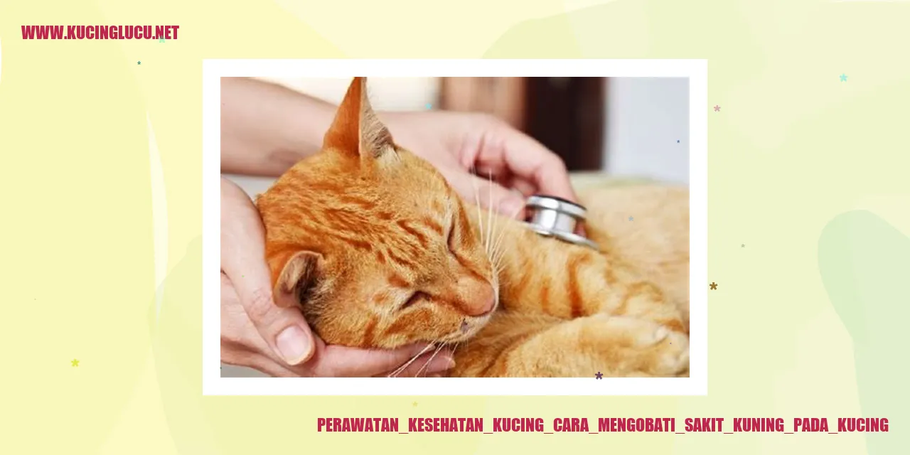 Perawatan Kesehatan Kucing