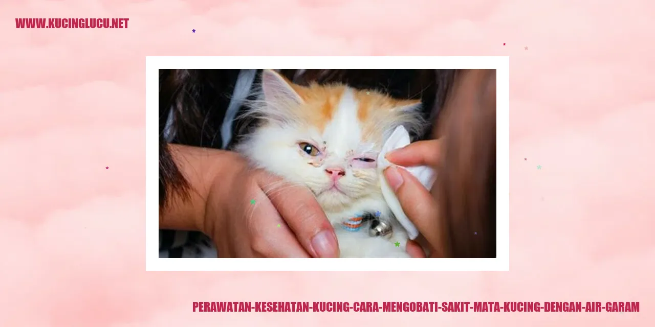 gambar kucing sakit mata