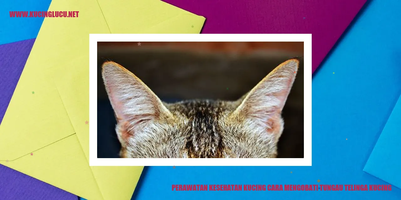 Perawatan Kesehatan Kucing