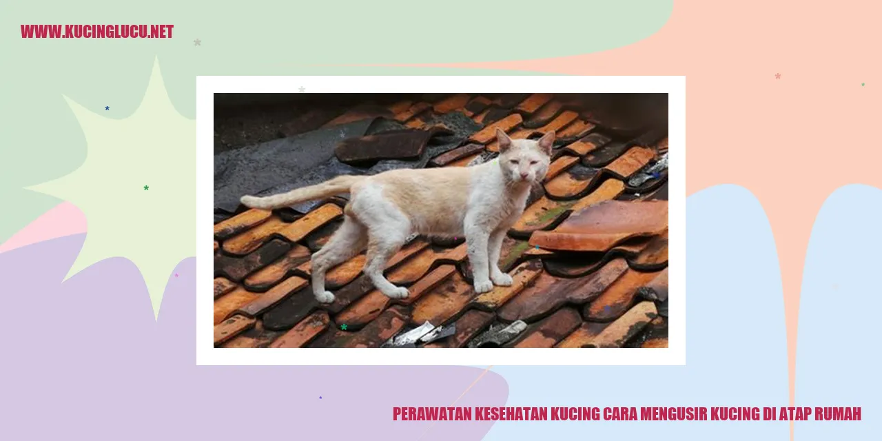 Perawatan Kesehatan Kucing