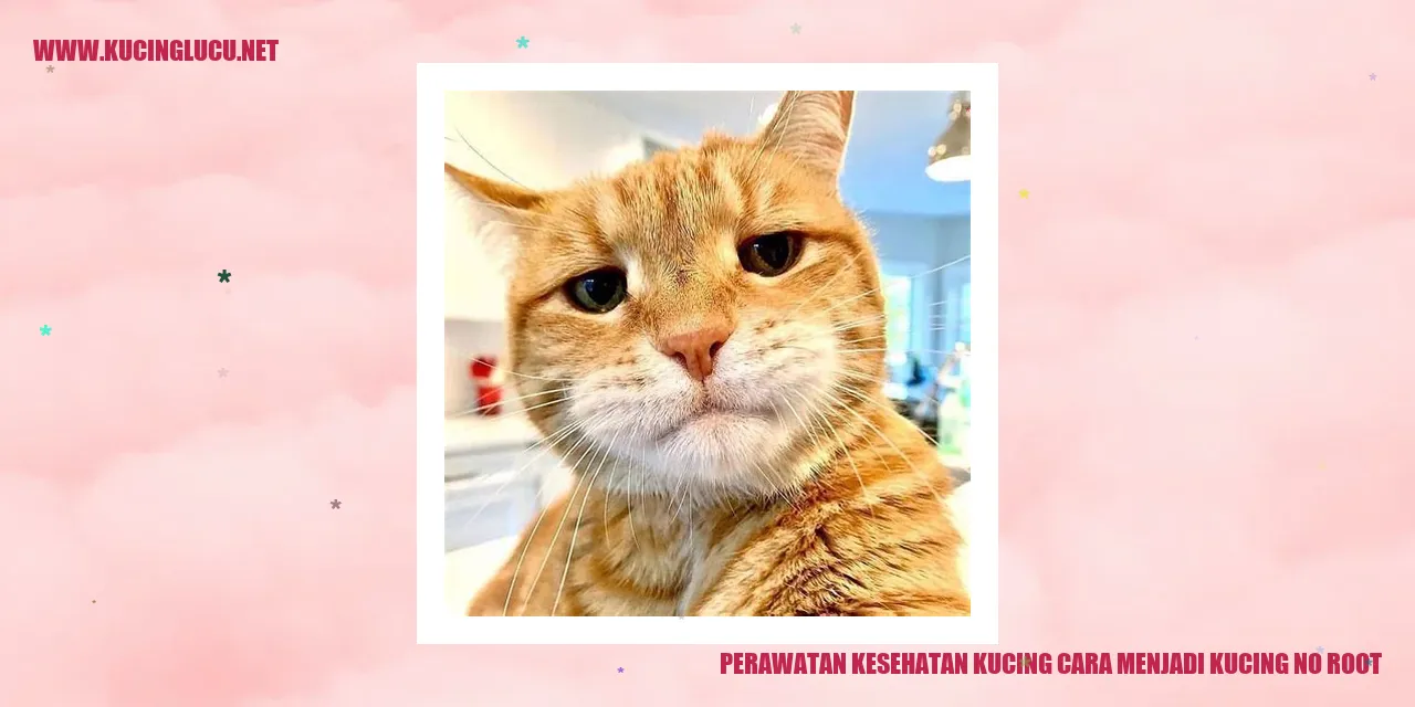 Perawatan Kesehatan Kucing