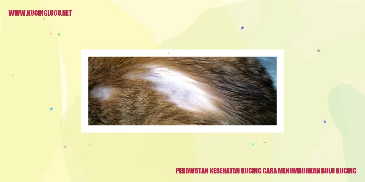 Kucing dengan bulu yang sehat