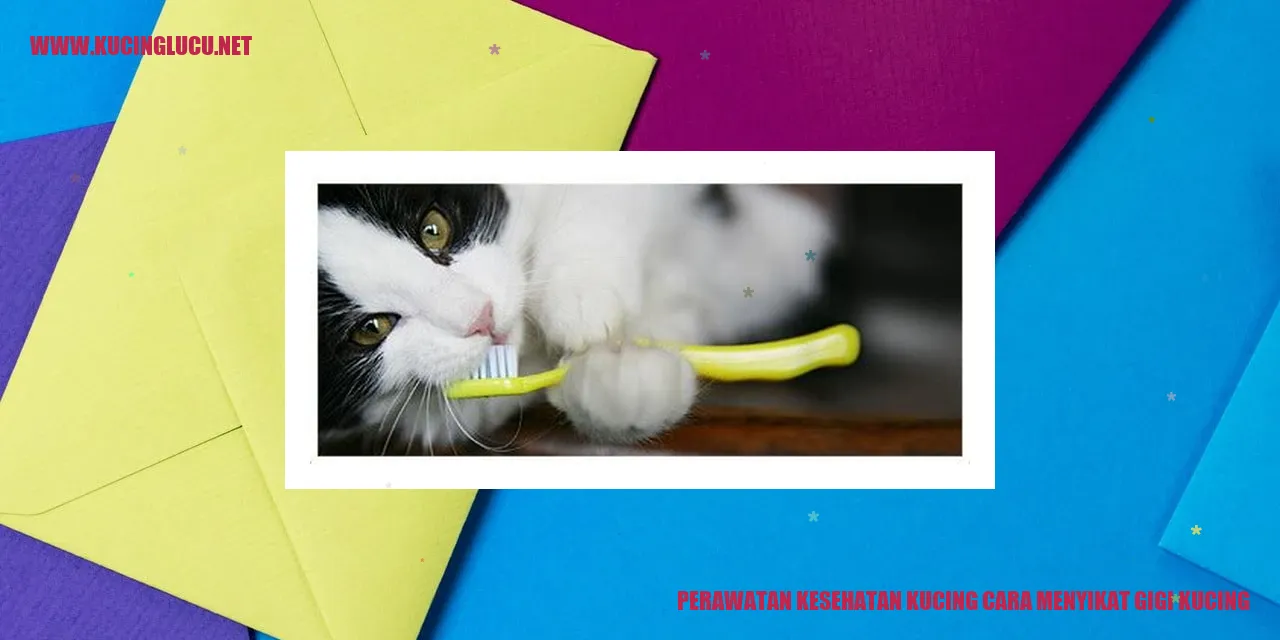 Gambar seekor kucing yang sedang mendapatkan perawatan gigi dari pemiliknya