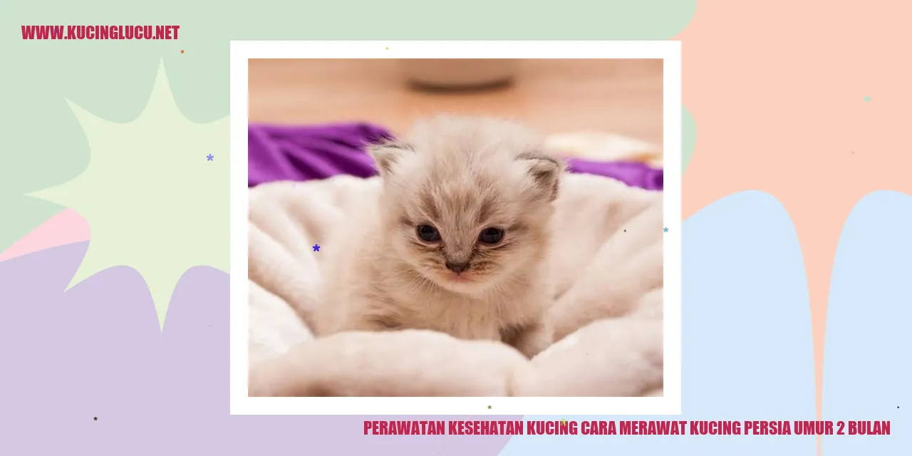 Perawatan Kesehatan Kucing Persia Umur 2 Bulan