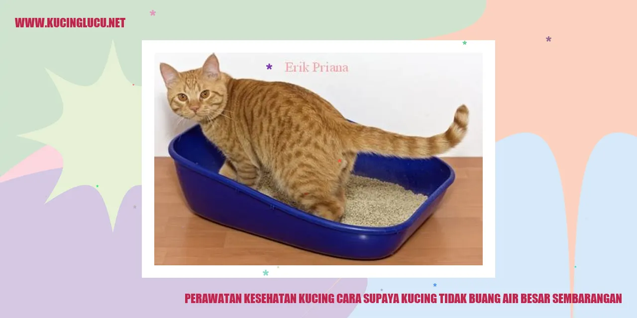 Perawatan Kesehatan Kucing