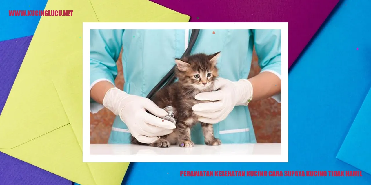 Perawatan Kesehatan Kucing cara supaya kucing tidak hamil