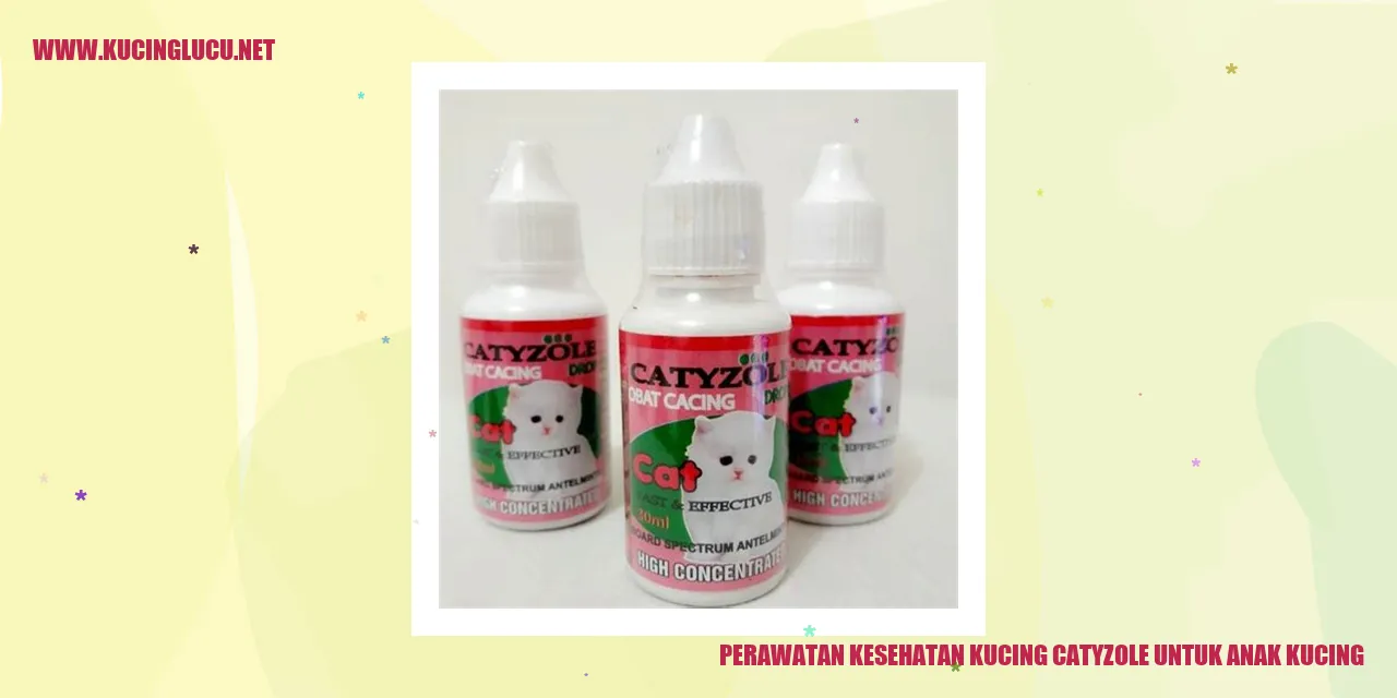 Perawatan Kesehatan Kucing Catyzole untuk Anak Kucing