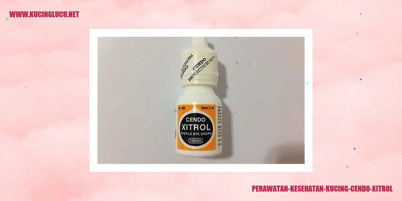Perawatan Kesehatan Kucing Cendo Xitrol Untuk Kucing