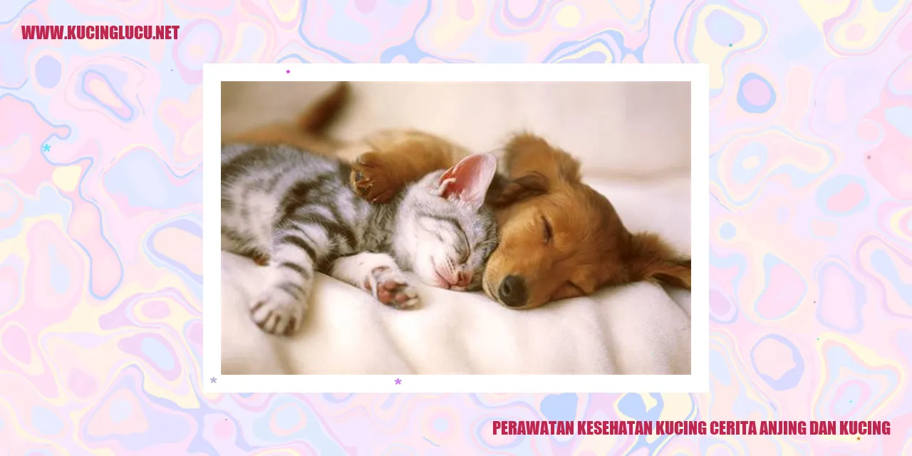 Kesehatan Kucing