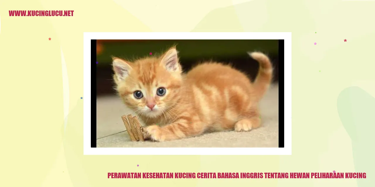 Perawatan Kesehatan Kucing