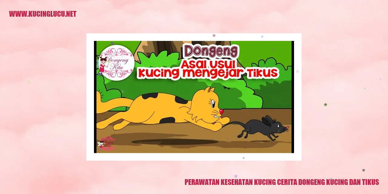Gambar kucing sedang tidur