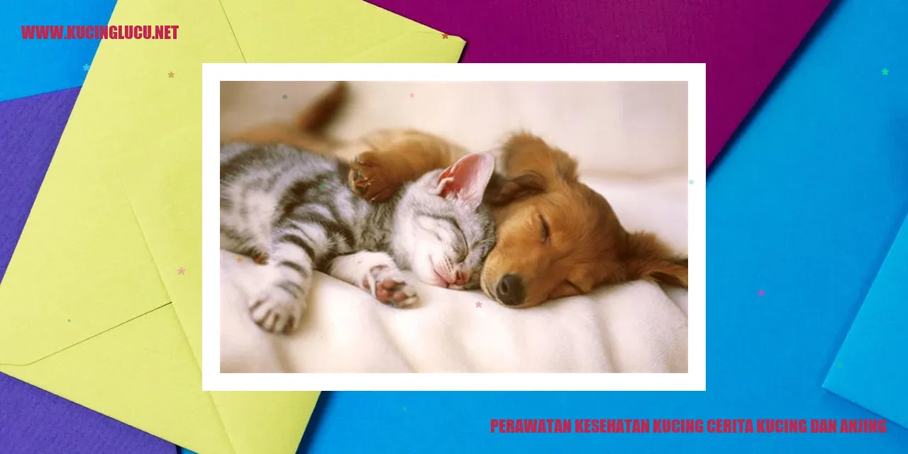 Perawatan Kesehatan Kucing dan Anjing