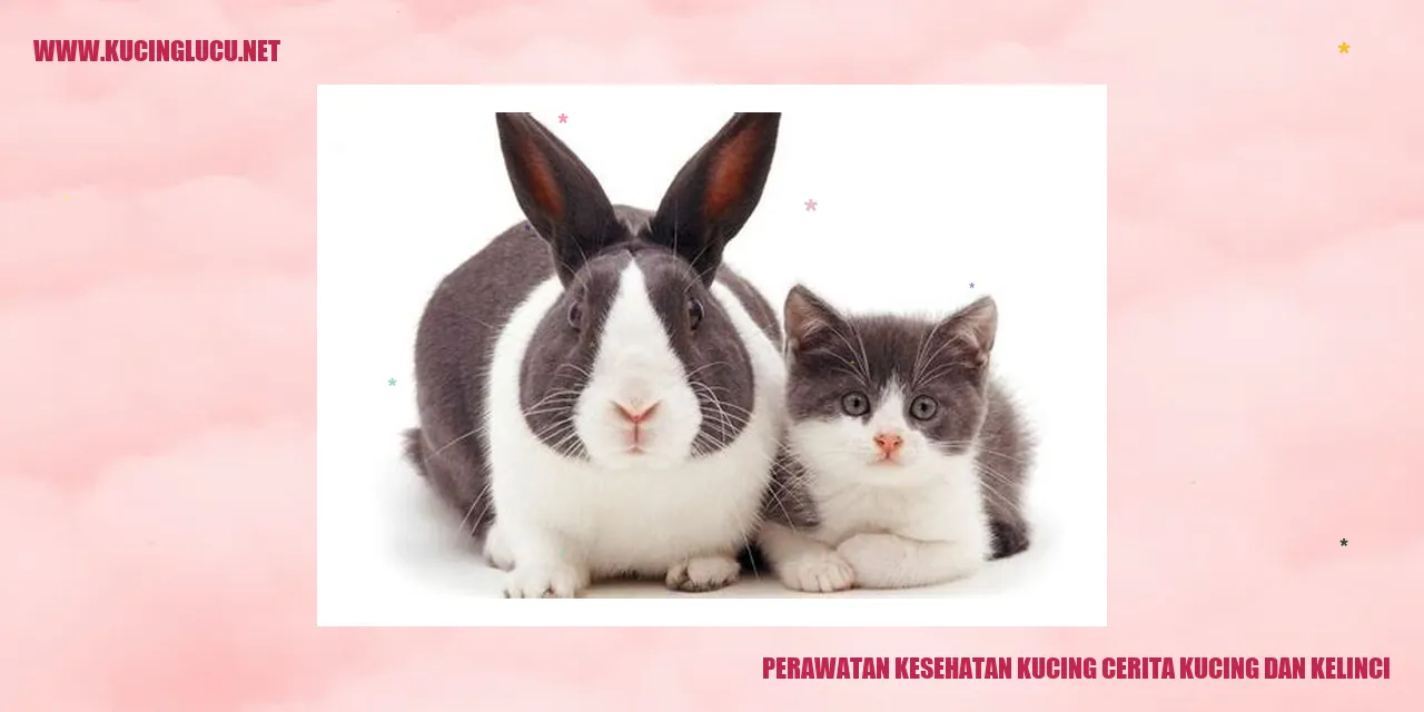 Perawatan Kesehatan Kucing dan Kelinci